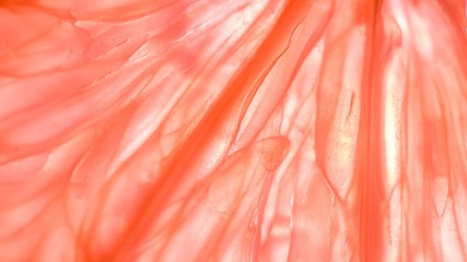 Abstract pink macro texture background