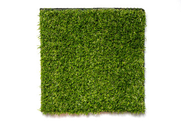 Artificial green grass in square plate on white background