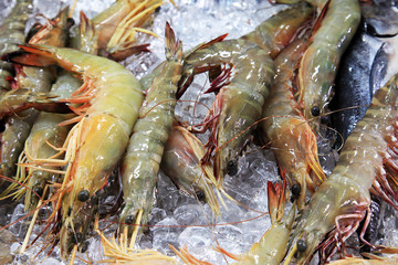 Shrimp on ice