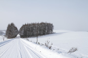 Fototapeta na wymiar 雪で覆われた冬の北海道の道