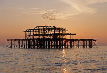 Murmuration over Brighton's west pier