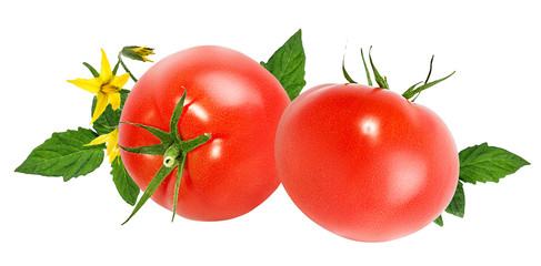 tomato isolated on white background