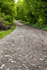 old subuarban road