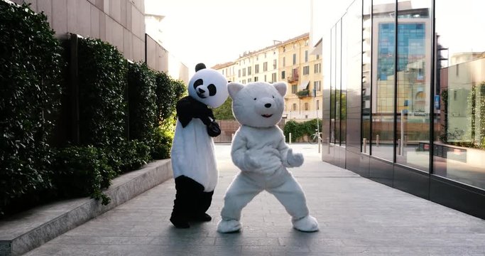 Panda and teddy bear around in the city