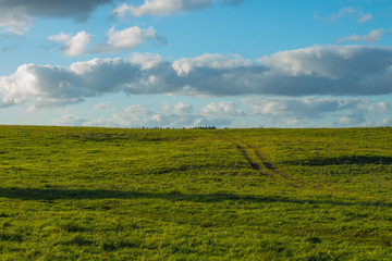 Green field and a blue sky