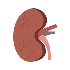 cartoon human kidney sick character vector illustration 