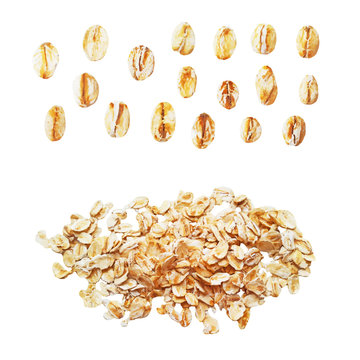 Raw oat flakes photo realistic vector set