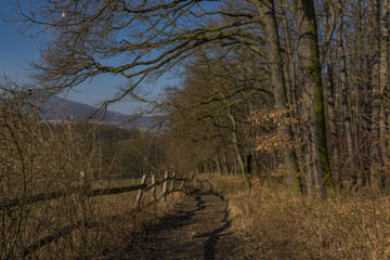 Obraz premium Sunset near Oparno village in winter evening