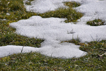 Wiese leuchtet durch den schmelzenden Schnee im Frühling 