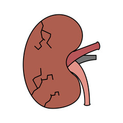 cartoon human kidney sick character vector illustration 