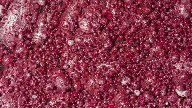 Top view Bright Collors Bubbles Slow Motion Oil Ink is fantastic structure of colorful chaotic motion bubbles stock video is a beautiful, unique, organic.
