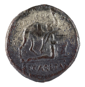 Roman Republic Coin. Ancient Roman silver denarius of the family Aemilia. Obverse.