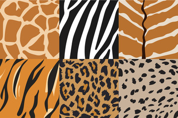 Vector Illustration of tiger, zebra, giraffe, cheetah, nyala  and leopard pattern. Animal print pattern.