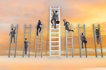 Career progression concept with various ladders