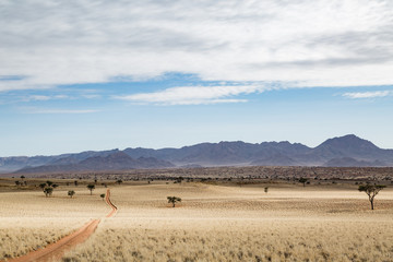 Namib Desert Track 