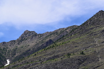 Hillside