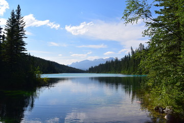 Blue lake and green trees