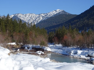 Nadelwald im Isartal
