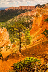 Bryce Canyon, USA