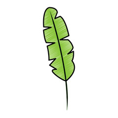 tropical leaf green spring season eco nature vector illustration drawing design