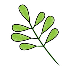 tree branch with green leaves plant natural vector illustration drawing design
