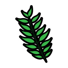 tropical leaf green spring season eco nature vector illustration