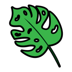 tropical leaf green spring season eco nature vector illustration