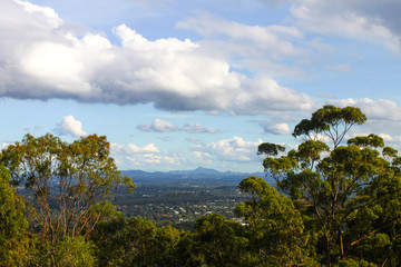 Looking down from Mt Coot tha near Brisbane Australia at suburbs and mountains in the background framed by tall gum trees