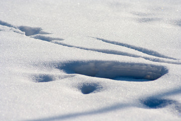 Fototapeta na wymiar traces on snow background