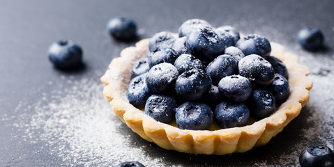 Blueberry tartlet, pie, tart with vanilla custard. Slate stone background.