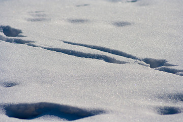 traces on snow background