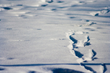 traces on snow background