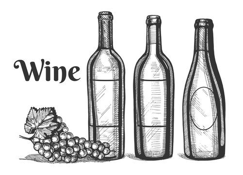 a wine bottles and grapes bunch