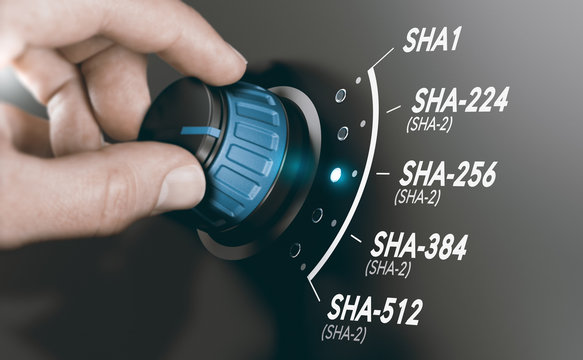 Cryptography Concept, Cryptographic Hash Algorithm SHA-2