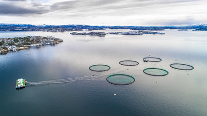 Salmon fish farm. Bergen, Norway.