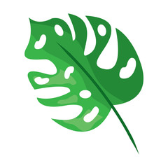 tropical leaf green spring season eco nature vector illustration