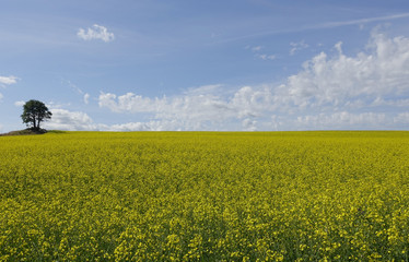 FArmland