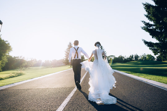 A summer walk of the newlyweds in nature.
