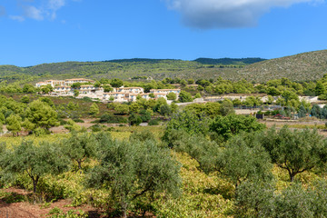 Fototapeta na wymiar View of beautiful Zakynthos island. Rural landscape, olive trees and traditional Greek houses. Greece.