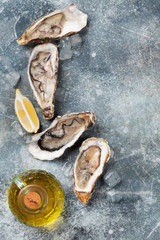 Fresh oysters on stone table
