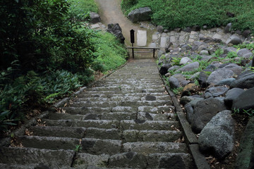 Obraz premium Nature in Japanese park Koishikawa-Korakuen