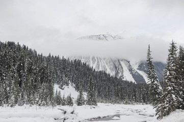 Winter Snow Falls in the Mighty Rocky Mountains of British Columbia, Canada