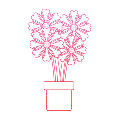 potted flower natural decoration floral icon vector illustration degrade line design