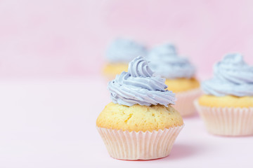 Cupcake decorated with violet buttercream on pastel pink background. Sweet beautiful cake. Horizontal banner, greeting card for birthday, wedding, women's day. Close up photography. Selective focus