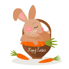 Easter bunny in a basket, vector illustration
