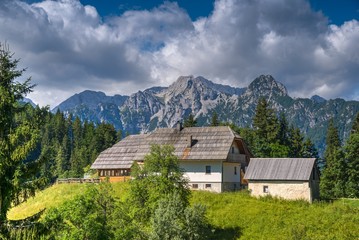 Solcava Panoramic Road in Summer © zkbld
