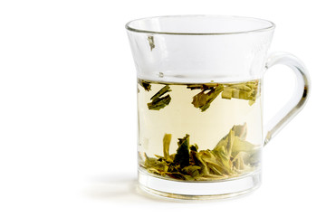 glass green tea isloted white background