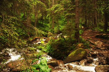 Тропинка вдоль реки