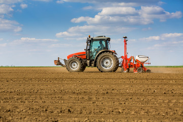 Obraz premium Farmer seeding, sowing crops at field. Sowing is the process of planting seeds in the ground as part of the early spring time agricultural activities.