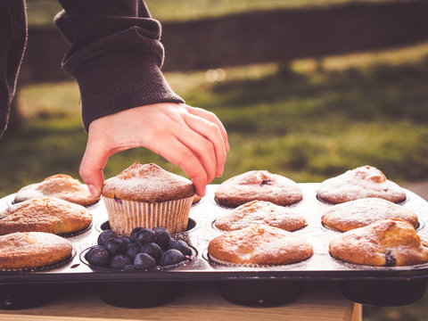 Kids Hand Holding Blueberry Muffin